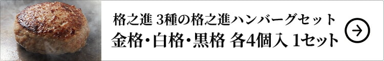 格之進 3種の格之進ハンバーグセット 金格・白格・黒格 各4個入 1セット：金格、白格、黒格×各4個入（計12個入）