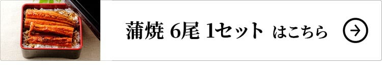 大新 鹿児島県産 こだわりうなぎ蒲焼 6尾