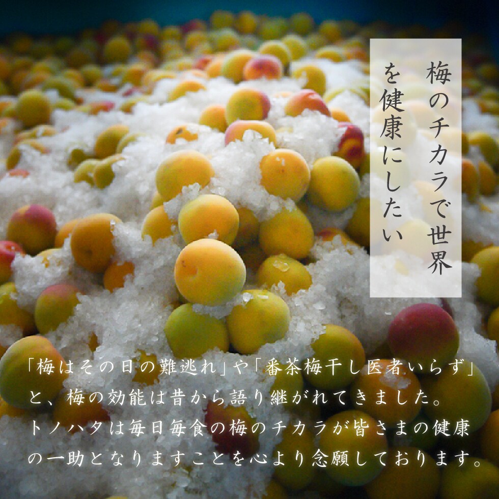 梅のチカラで世界を健康にしたい。「梅はその日の難逃れ」や「番茶梅干し医者いらず」と、梅の効能は昔から語り継がれてきました。紀州梅効能研究会の会長を務めるトノハタは、毎日毎食の梅のチカラが皆さまの健康の一助となりますことを心より念願しております。