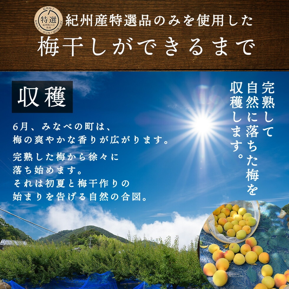 ”梅干し“