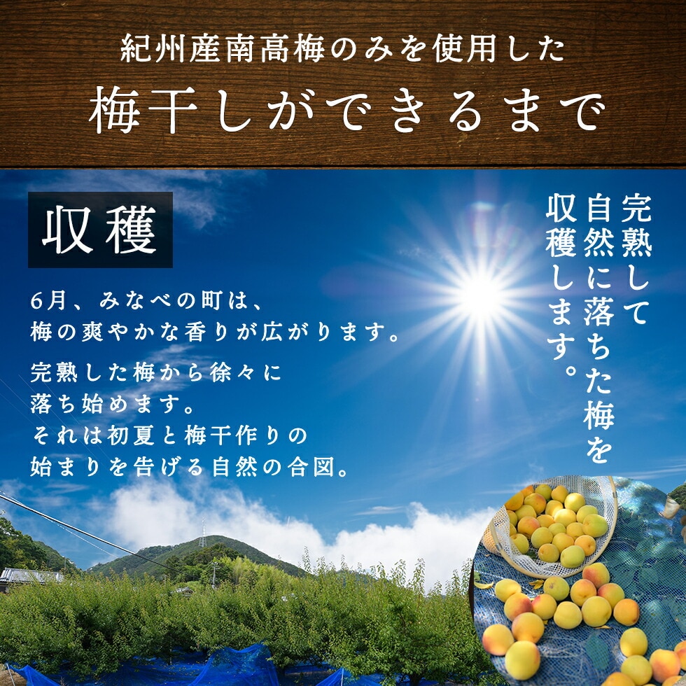 ”梅干し“
