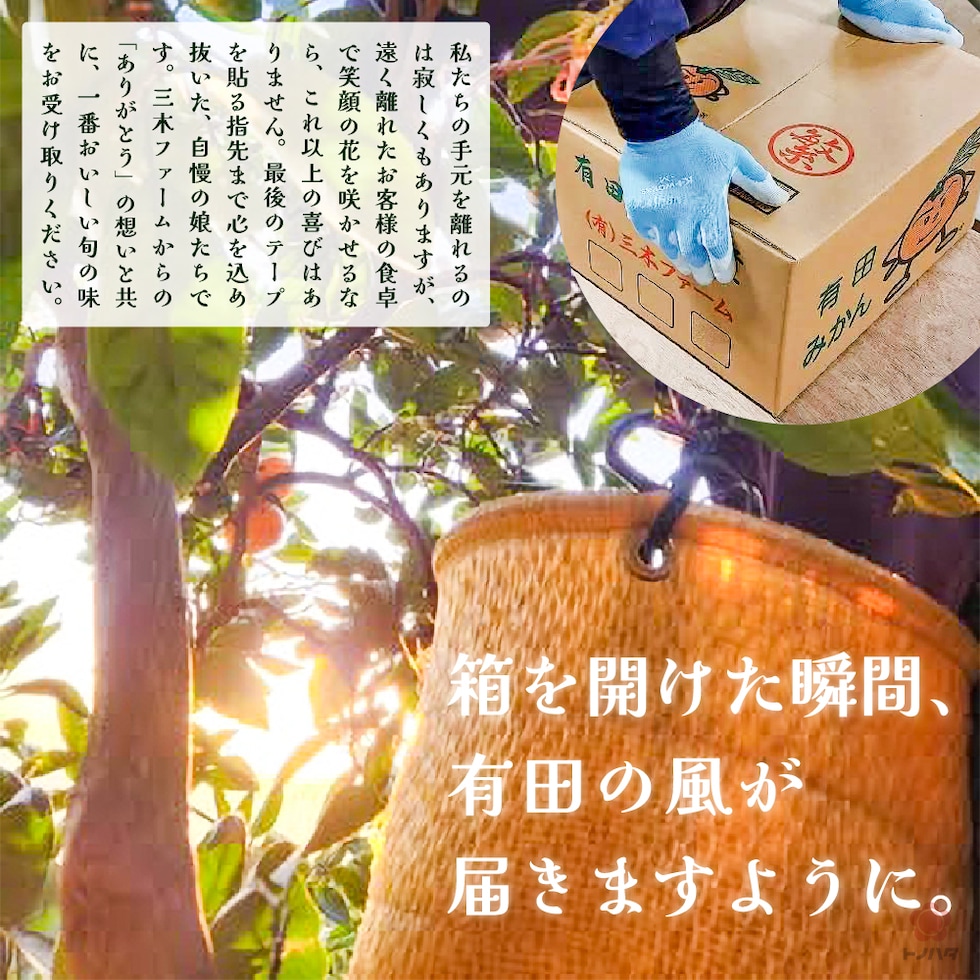 箱を開けた瞬間、有田の風が届きますように。遠く離れたお客様の食卓で笑顔の花を咲かせるなら、これ以上の喜びはありません。