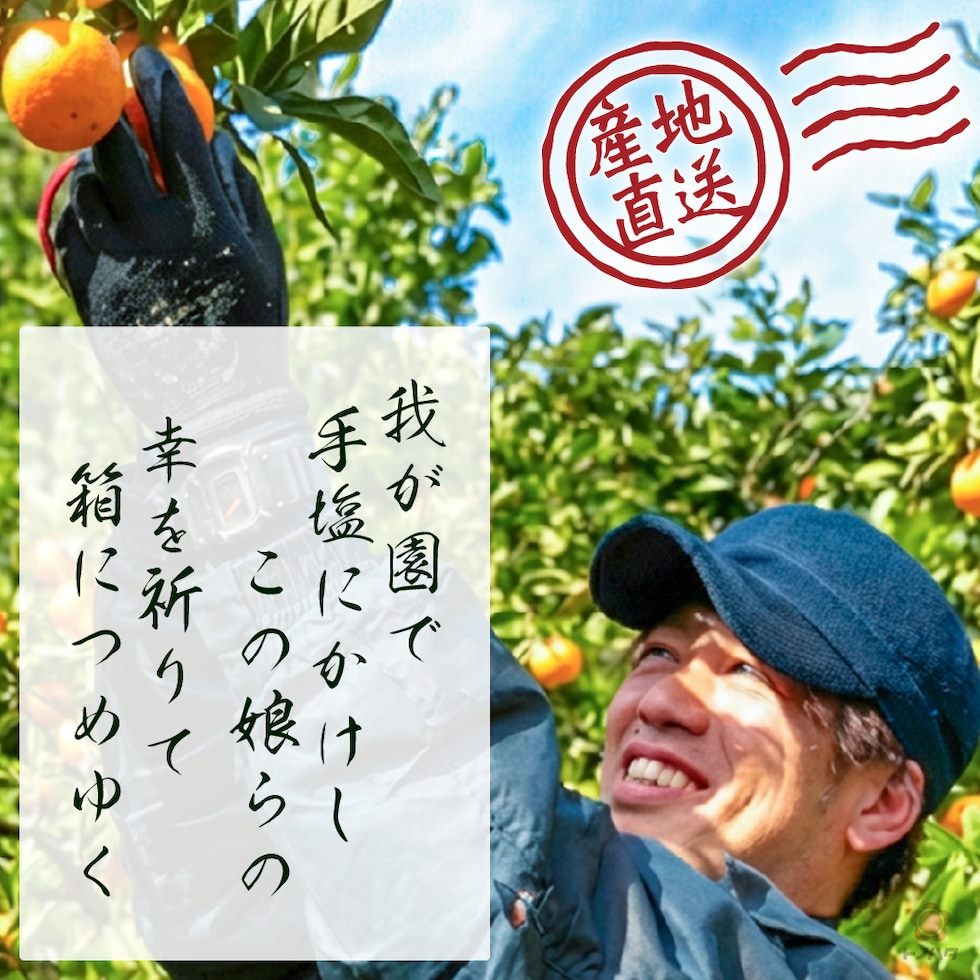 我が園で手塩にかけしこの娘らの、幸を祈りて箱につめゆく。産地直送。