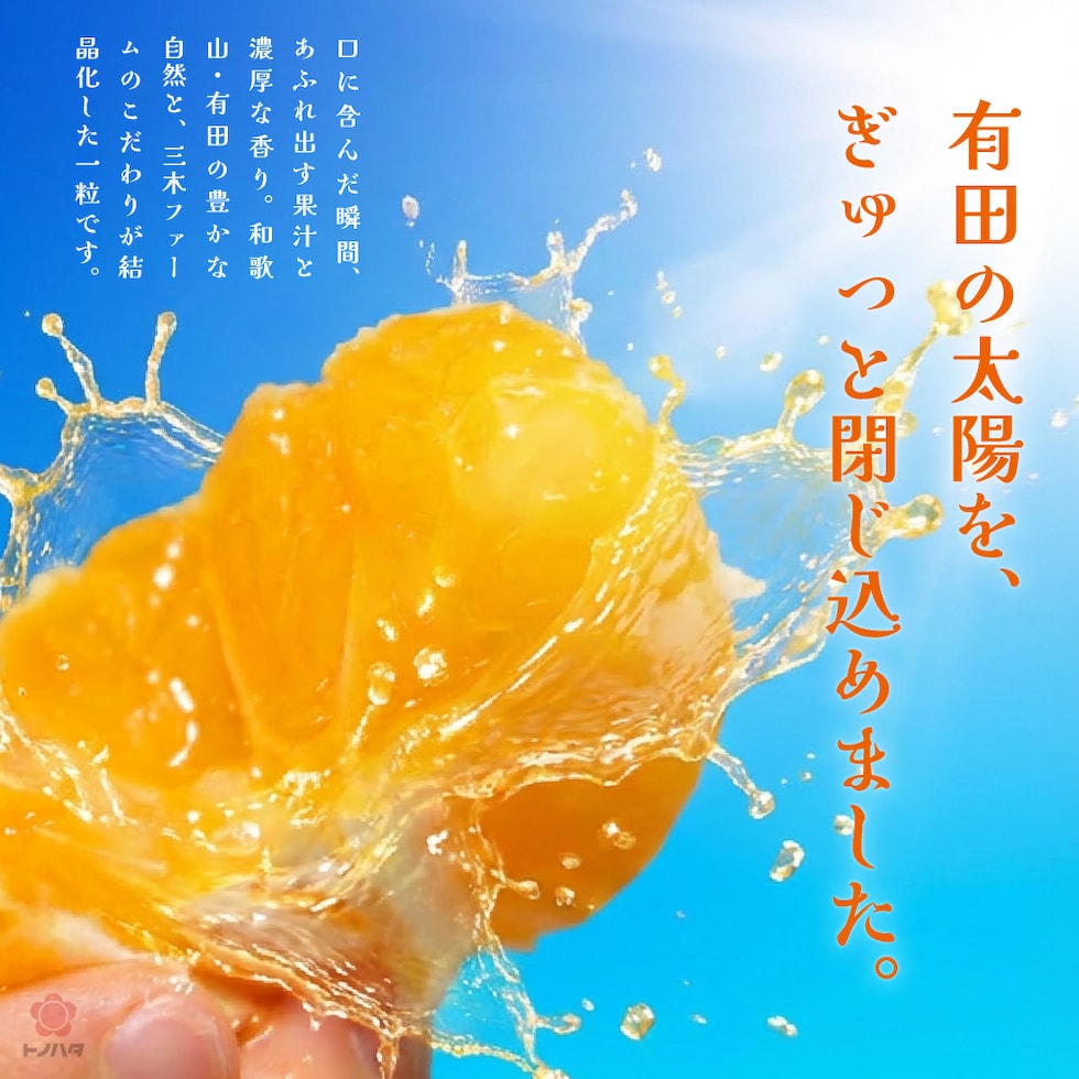 有田の太陽、ぎゅっと閉じ込めました。