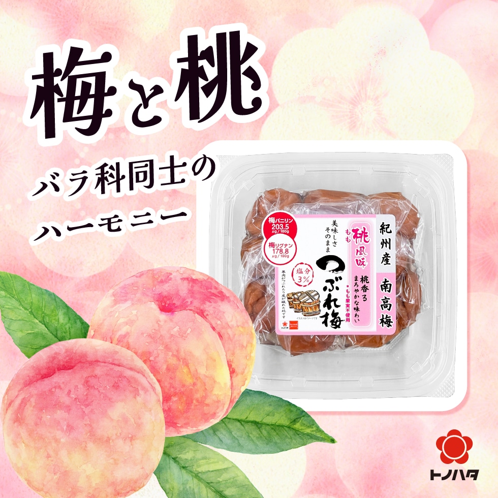 梅と桃。バラ科同士のハーモニー。