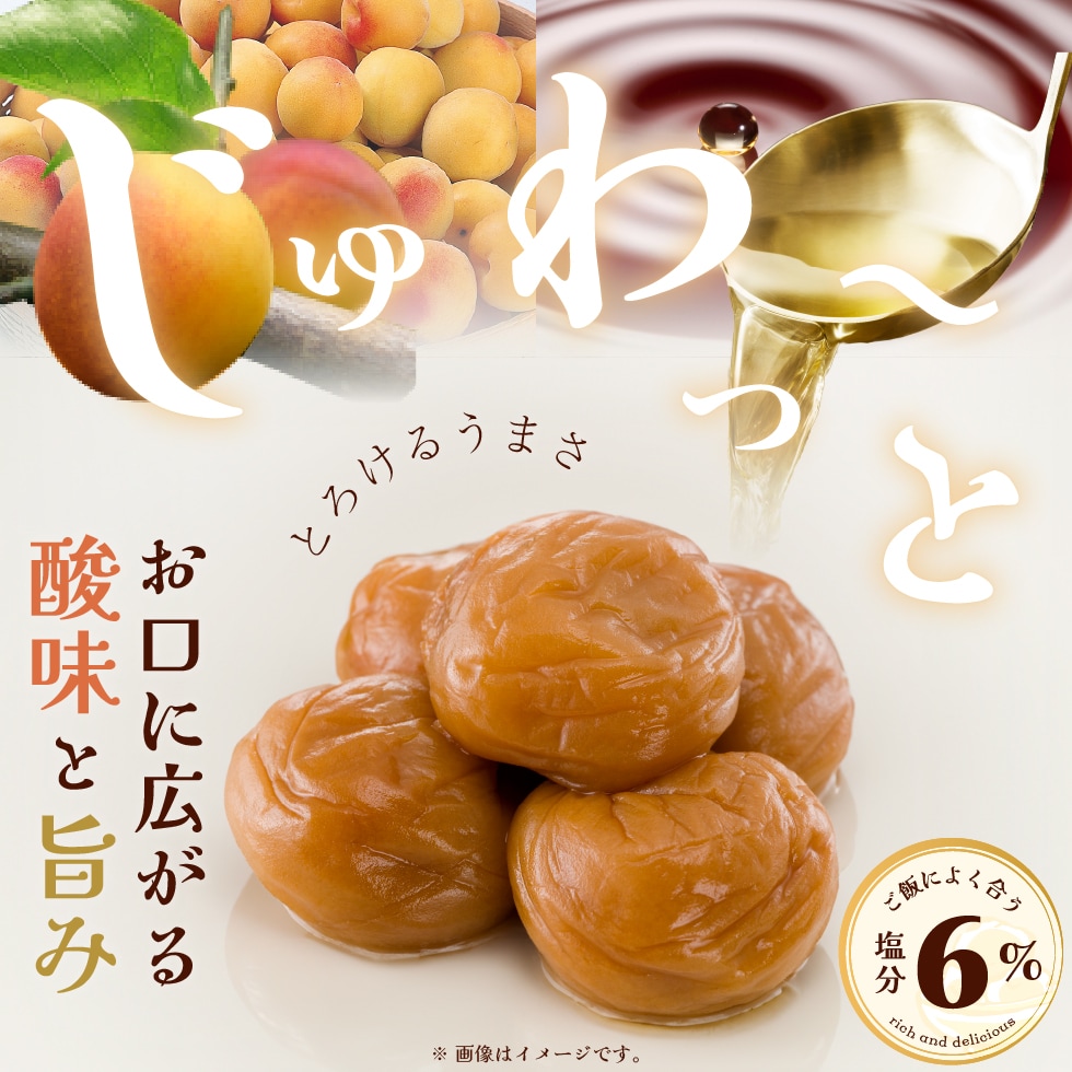 じゅわ～っとお口に広がる酸味と旨み