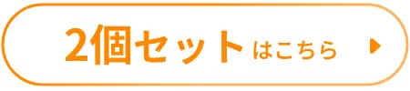 2個セットはこちら