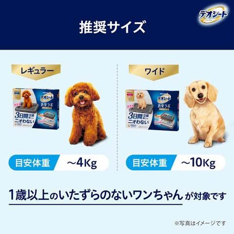 dショッピング |デオシート 消臭ラボ トイレシステム 強力吸収・消臭マット レギュラー 犬用 （１０枚入） カテゴリ：トイレシート・ペットシートの販売できる商品  爽快ドラッグ(Rakuten Direct) (0014520699648421)|ドコモの通販サイト