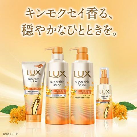 LUX 箱売り　6個　コンディショナー つめかえ　新品 LUX 箱売り 6個 コンディショナー つめかえ 新品 LUX 箱売り 6個