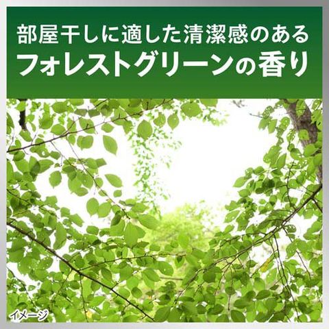 dショッピング |ナノックスワン 部屋干し フォレストグリーンの香り