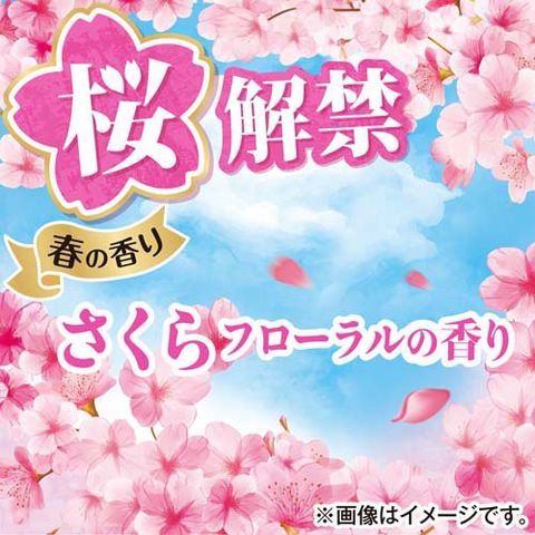 dショッピング |ボールド 柔軟剤入り 洗濯洗剤 液体 さくらフローラル