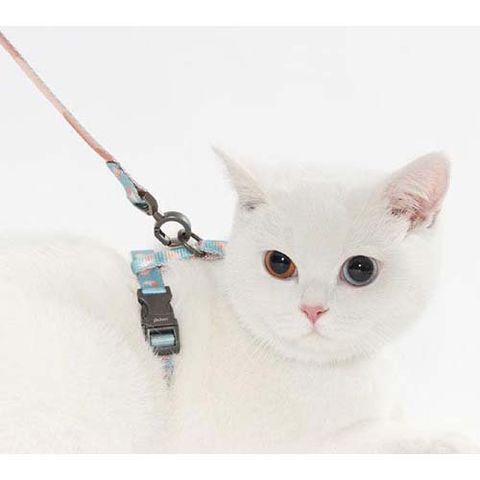 ★値下★ クリストフル　ペットコレクション 犬猫用リード　ギフト可 ☆値下☆ クリストフルペットコレクション 犬猫用リードギフト可