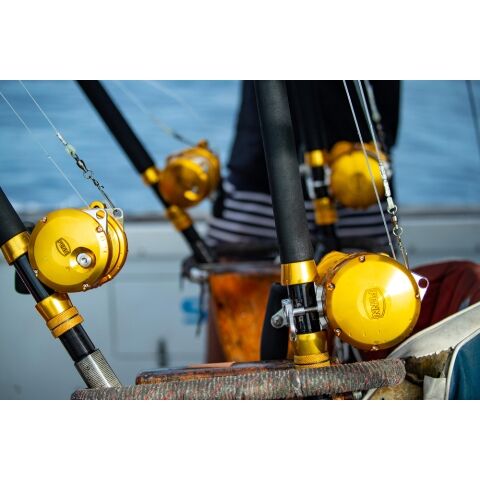 dショッピング |PENN インターナショナル VI 50VISX ペン PENN