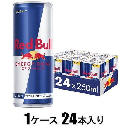 レッドブル レッドブル エナジードリンク 250ml（1ケース24本入）  レツドブル エナジ-250 【返品種別B】