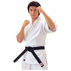 dショッピング | 『武術・格闘技用品』で絞り込んだJoshinの通販できる