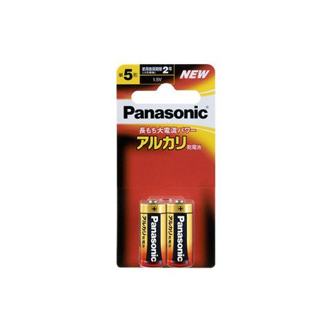 パナソニック アルカリ乾電池単5形 2本パック Panasonic LR1XJ/2B 【返品種別A】