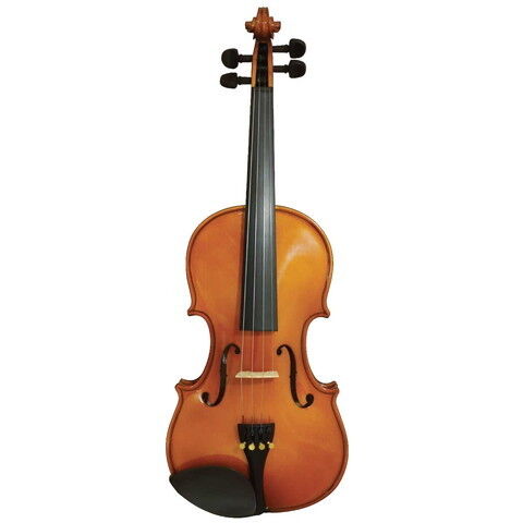 ステンター キッズ向けバイオリン(1/8サイズ) STENTOR SV-180 1/8 【返品種別A】