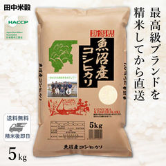 □新米 令和6年産 本場 新潟県 魚沼産 コシヒカリ 5kg(1袋)/五つ星お米マイスター監修