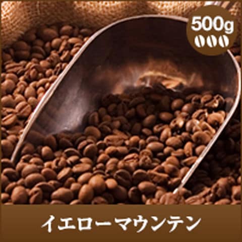 イエローマウンテン500g入り【豆のまま】（コーヒー/コーヒー豆/珈琲豆/単品豆）送料別