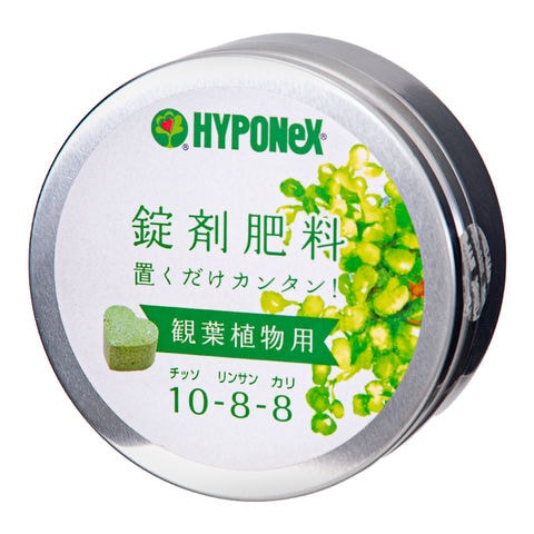 ハイポネックス　錠剤肥料シリーズ　観葉植物用　約７０錠（Ｎ１０・Ｐ８・Ｋ８） 関東当日便