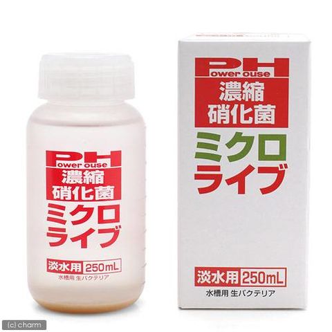 Dショッピング パワーハウス 濃縮硝化菌 ミクロライブ 淡水用 250ml 赤 バクテリア 熱帯魚 観賞魚 関東当日便 カテゴリ 水質管理 調整の販売できる商品 チャーム ドコモの通販サイト Dショッピング パワーハウス 濃縮硝化菌 ミクロライブ 淡水用 250ml 赤 バクテリア 熱帯魚 観賞魚 関東当日便 カテゴリ 水質管理 調整の販売できる商品 チャーム ドコモの通販サイト