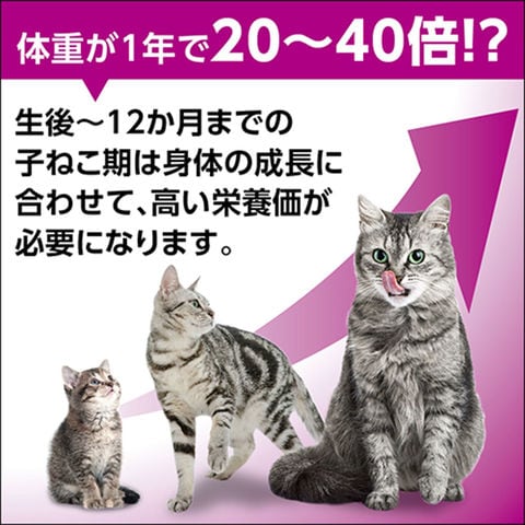 dショッピング |カルカン パウチ １２ヵ月までの子ねこ用 まぐろ