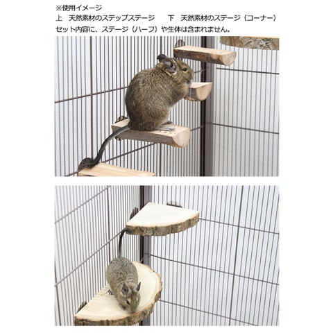 dショッピング |デグー飼育スターターセット 白ケージｖｅｒ． 関東