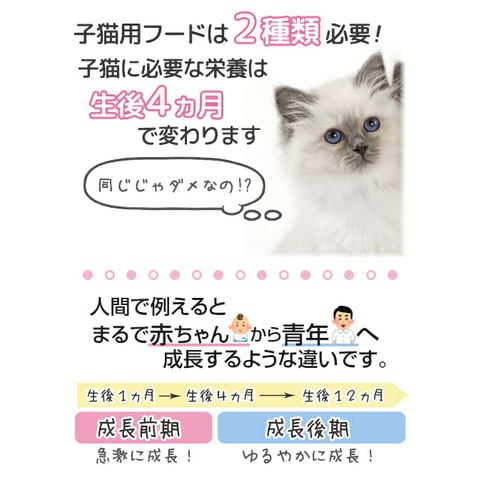 dショッピング |ロイヤルカナン 猫 成長前期の子猫用ドライウェット