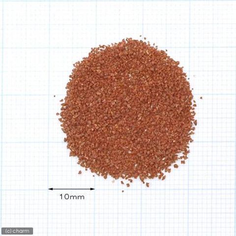 Dショッピング コメット コッピー アカヒレ はじめました アカヒレのエサ ５ｇ スプ ン付 ２個 関東当日便 カテゴリ の販売できる商品 チャーム ドコモの通販サイト