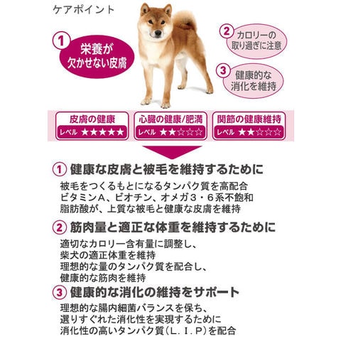 dショッピング |ロイヤルカナン 柴犬 中・高齢犬用 ３ｋｇ×２袋 ジップ