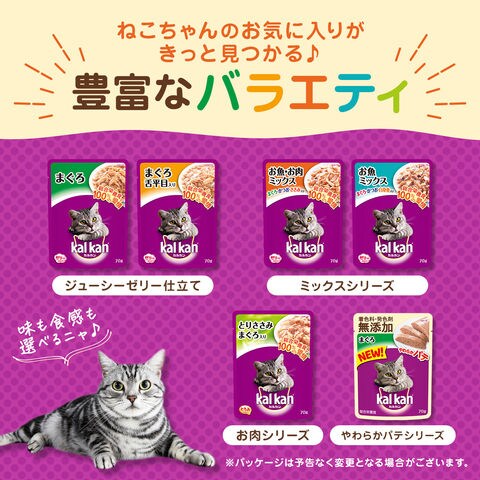 カルカンパウチ 10個セット 遠のい