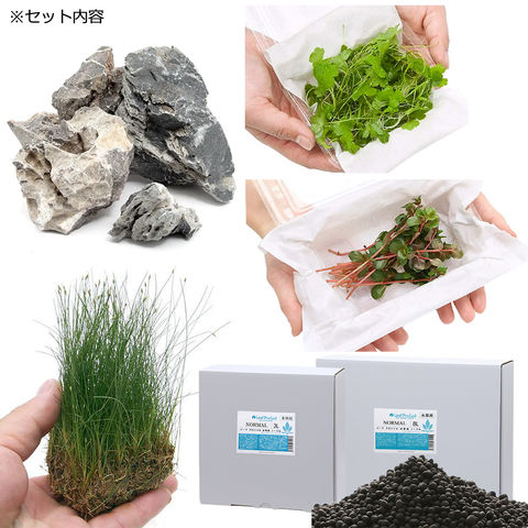 dショッピング |（水草）６０ｃｍ水槽用 水草レイアウトセット | カテゴリ：水草の販売できる商品 | チャーム  (023292638)|ドコモの通販サイト