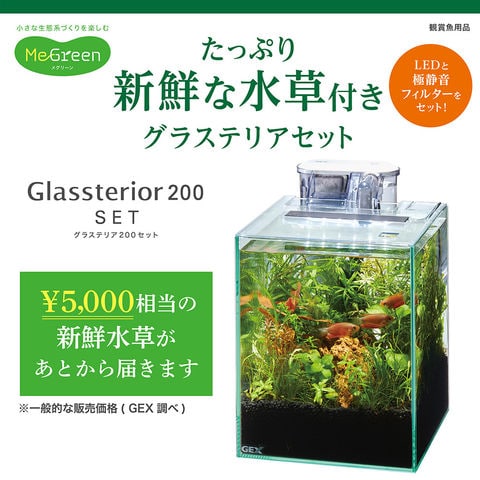 dショッピング |ＧＥＸ 水槽セット ＭｅＧｒｅｅｎ 新鮮な水草付き グラステリア２００セット 小型水槽 水草付 関東当日便  カテゴリ：の販売できる商品 チャーム (023303732)|ドコモの通販サイト