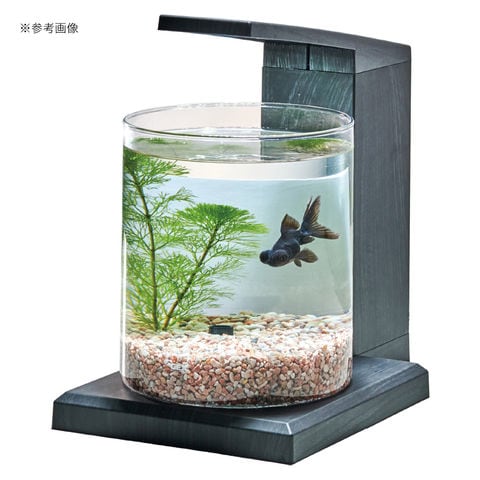 dショッピング |GEX 水槽セット グラスアクア PERCO C