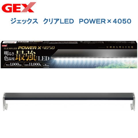 CLEAR LED POWER X 600