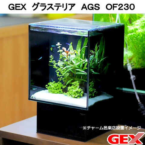 dショッピング |ＧＥＸ 水槽セット グラステリア ＡＧＳ ＯＦ２３０ お