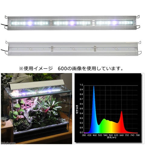 dショッピング |アクロ TRIANGLE テラリウム・アクアポ