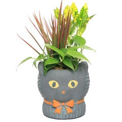 dショッピング | 『観葉植物』で絞り込んだチャームの通販できる商品