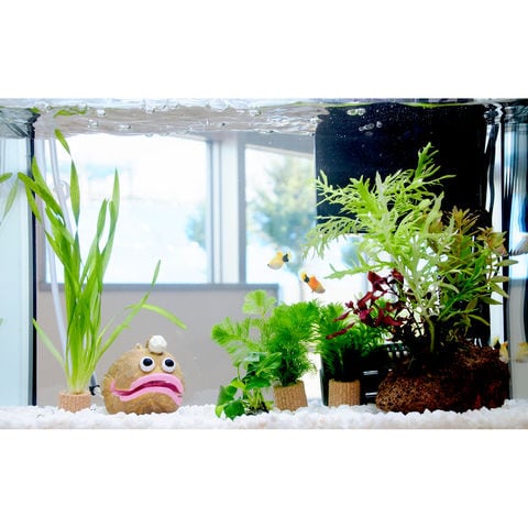 水槽セット〜熱帯魚、水草用に Amazon.co.jp: 水草 人工 水槽用 水草セット (12本セット) メダカ ベタ