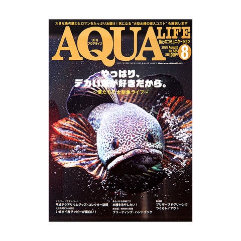dショッピング |アクアライフ 8月号（2026） 関東当日便