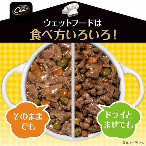dショッピング |シーザー おうちレシピ 成犬用 7種各6個 トレイ