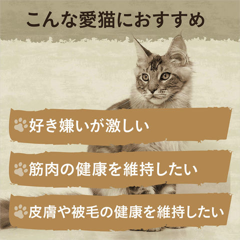 dショッピング |ニュートロ 子猫 キャット ワイルド レシピ キトン