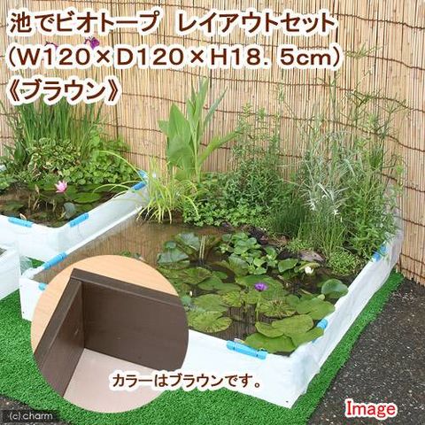 室内ビオトープ　レイアウト品 室内ビオトープ テラリウム レイアウト品 - メルカリ