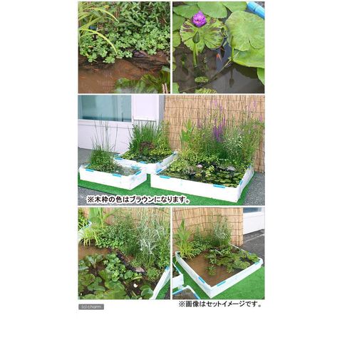 りこ様発注分メダカビオトープ♫茶色 高さの有るビオトープ 80L トロ舟＆木枠セット（棚付き） ハウス