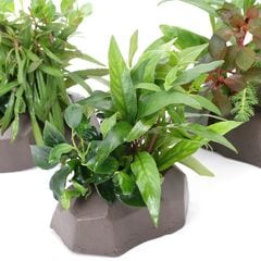 アクロ　ＴＲＩＡＮＧＬＥ　ＬＥＤ　ＧＲＯＷ　９００　スタンドセット dショッピング |アクロ TRIANGLE LED GROW