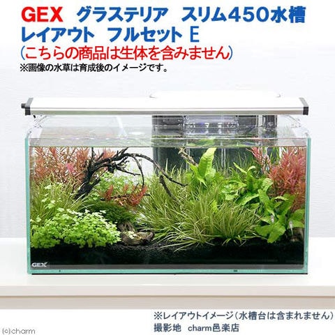 dショッピング |（水草）ＧＥＸ グラステリア スリム４５０水槽