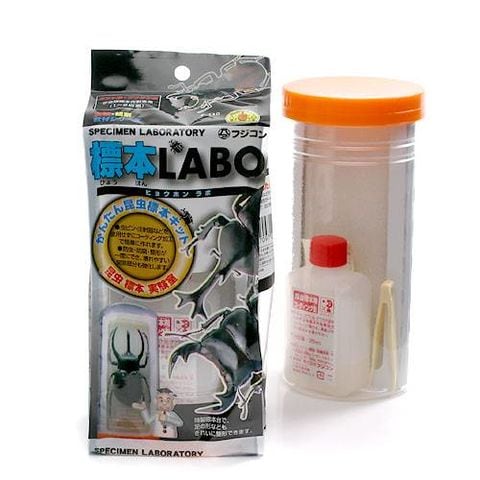 dショッピング |フジコン 標本ＬＡＢＯ かんたん昆虫標本セット（１～２匹用） 昆虫 標本用品 標本セット 関東当日便 | カテゴリ：の販売できる商品  | チャーム (02345552)|ドコモの通販サイト