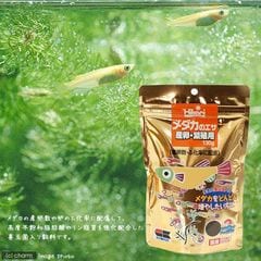 dショッピング |鯉の餌 キョーリン 咲ひかり 朱雀 沈下 ＳＳ １ｋｇ 錦鯉 餌 飼料 お一人様１０点限り 関東当日便 |  カテゴリ：の販売できる商品 | チャーム (023247240)|ドコモの通販サイト