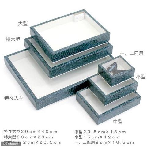 志賀昆虫 標本箱・展翅板セット （dショッピング |志賀昆虫 標本作成  