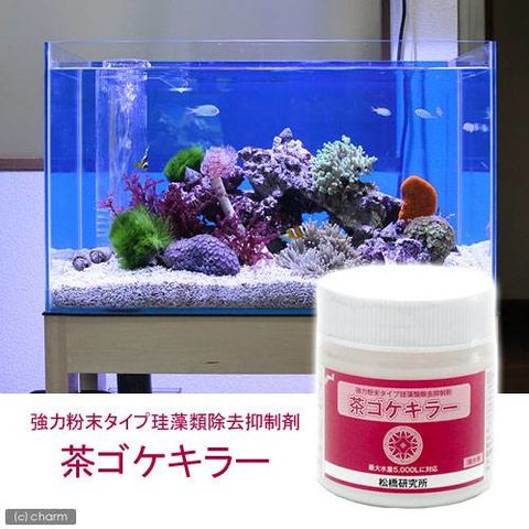 Dショッピング 珪藻類除去抑制剤 粉末茶ゴケキラー 海水用 １５０ｇ 関東当日便 カテゴリ 水質管理 調整の販売できる商品 チャーム ドコモの通販サイト